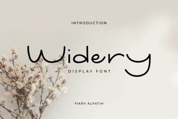 Widery: A Display Font That Means Business